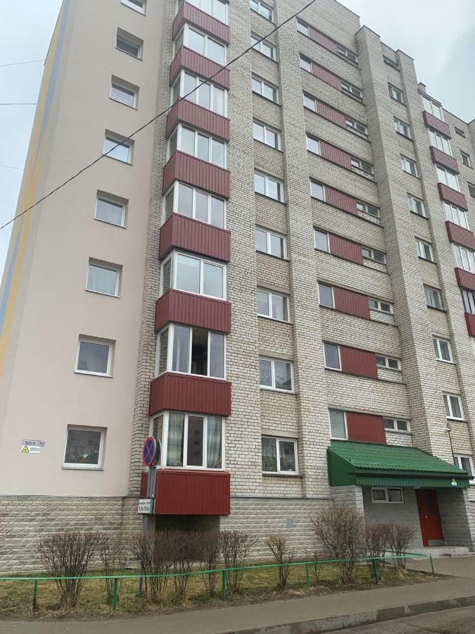 Ореховая Горка Апартаменты С Балконом И Лифтом Narva Exterior photo